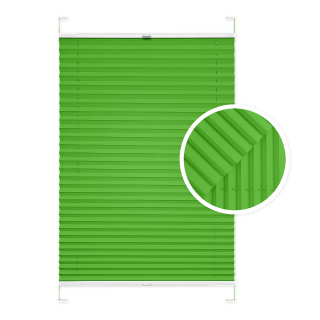 Green Window Pleated Blind
