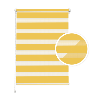 Sunny Day and Night Blind