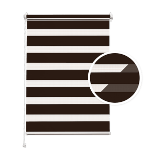 Brown Day and Night Blind