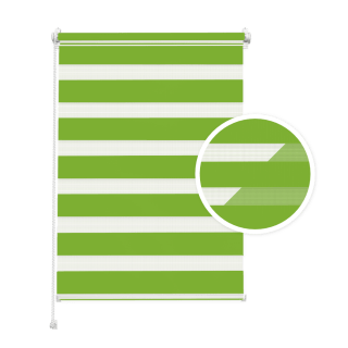 Doppelrollo Tag & Nacht – Grün