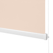 Pastel Salmon Standard Roller Blind