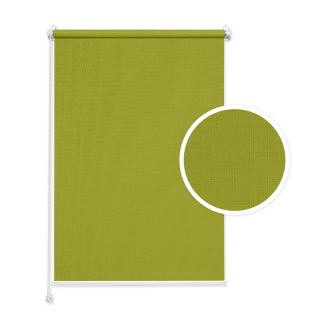 Mini Standard Rollo Lindgrün
